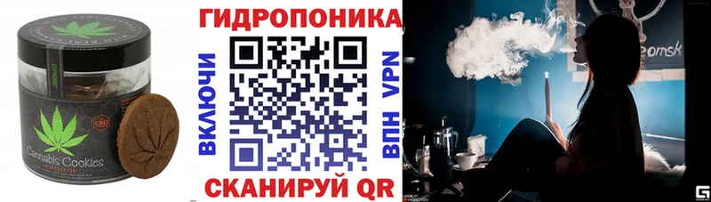 shop как зайти  Жуков  Печенье с ТГК конопля 