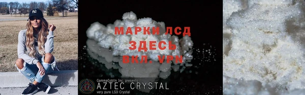 прущие грибы Горняк