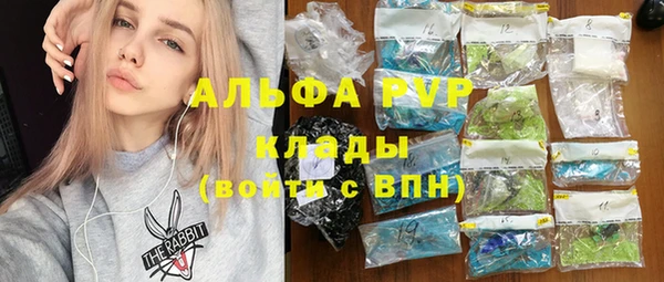 прущие грибы Горняк