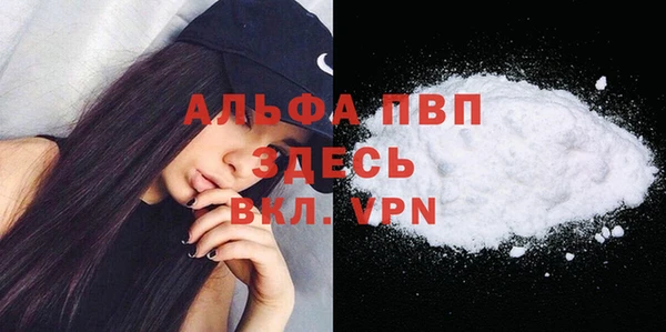apvp Гусиноозёрск