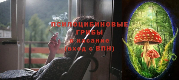 прущие грибы Горняк