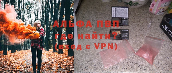 прущие грибы Горняк