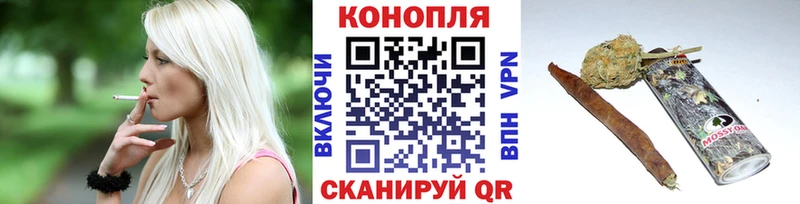 Каннабис семена  Жуков 